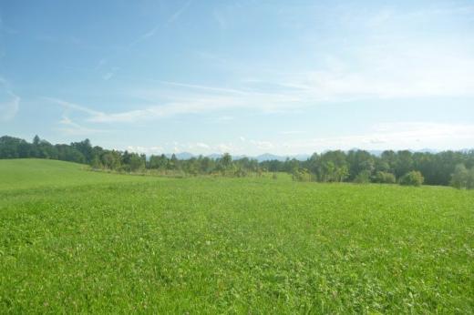 Grundstück kaufen Weilheim in Oberbayern gross 3fj4pek9asgo