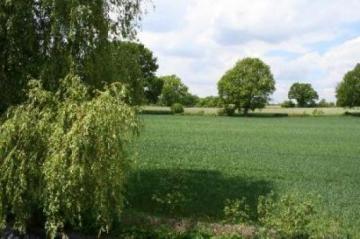 Kleines Haus Bargteheide Zum Kauf Zur Miete Newhome De