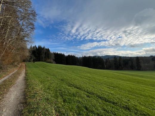 Grundstück kaufen Altusried gross acpwht5vngbu