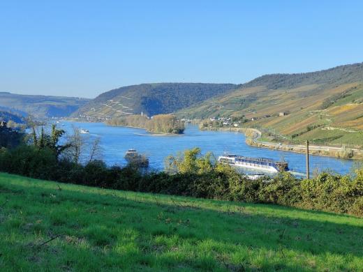 Grundstück kaufen Bingen am Rhein gross hseqvh61c6bf