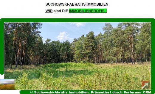 Grundstück kaufen Herzberg (Elster) gross 10gvw3vfgpby