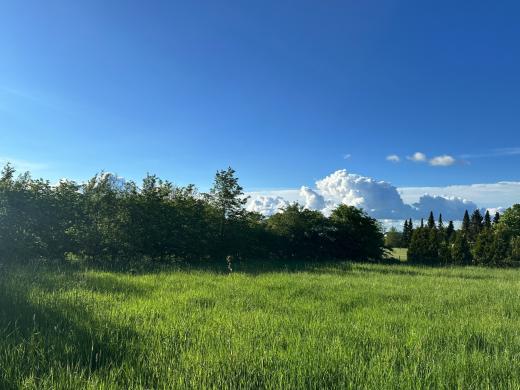 Grundstück kaufen Roetgen gross i0p5r4tkoph1