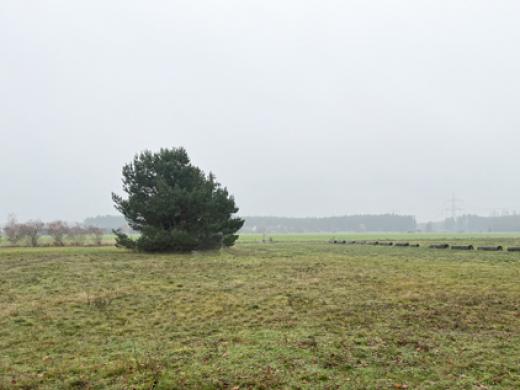 Haus kaufen Doberlug-Kirchhain gross d47ilzn14iyq