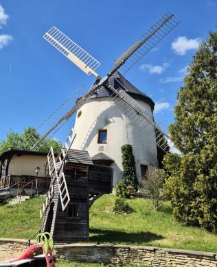 Haus kaufen Dresden gross m8pi2xtrzlft