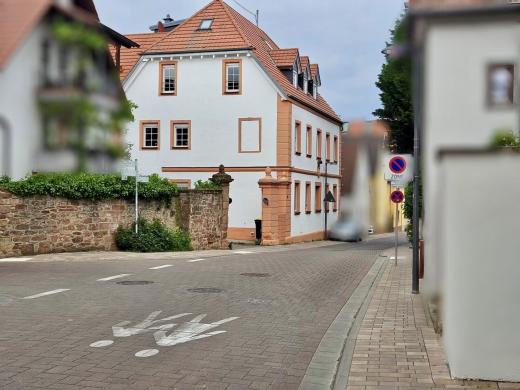 Haus kaufen Landau in der Pfalz gross nf9fhxv88e8z