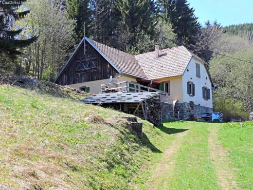 Neu Autentisch erhaltene Farm in Absoluter Alleinlage 40