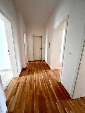 Wohnung mieten Chemnitz gross l4z0e9cmfpjy