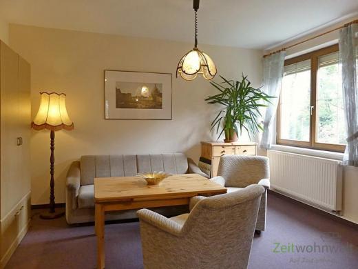 Wohnung mieten Dresden gross 1uepg3dwxui8