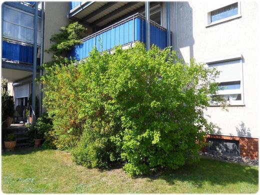 Wohnung mieten Edemissen gross gn8zyj5v4tfg