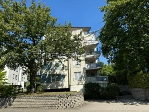 Wohnung mieten Wiesbaden gross 03q7e1tapmbw