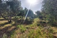 Grundstück kaufen Armeni Chania klein d9rbzcumynr1