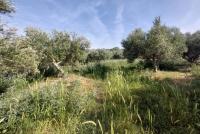 Grundstück kaufen Armeni Chania klein o1lvc2zmh7tw