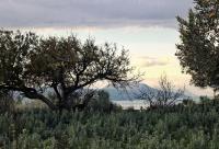 Grundstück kaufen Episkopi bei Rethymno klein ck0yx5k14w7d