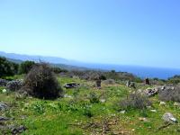 Grundstück kaufen Kounali, Neapolis, Lasithi, Kreta klein d1jxw5sz6byf