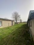 Haus kaufen Friedland (Landkreis Mecklenburgische Seenplatte) klein h6ql44s0d7yh