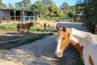 Haus kaufen Vejer de la Frontera klein m218mvdfuzeg