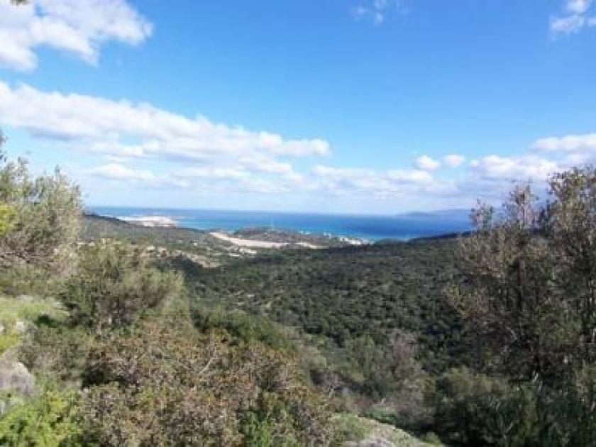 Grundstück kaufen Agios Nikolaos, Lasithi, Kreta max 5vrlshq8y90a