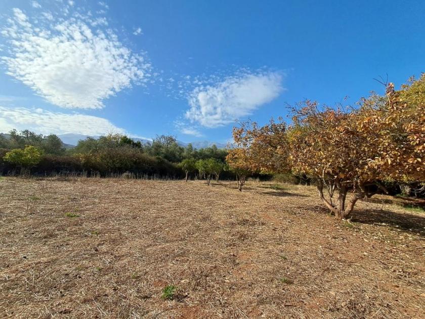 Grundstück kaufen Armeni bei Chania max m3vubk7kt9jh