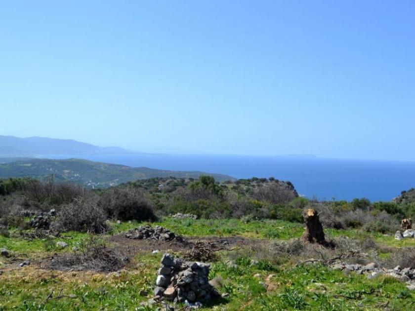 Grundstück kaufen Kounali, Neapolis, Lasithi, Kreta max qrfkarho4vhe