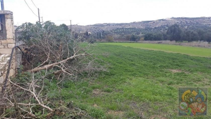 Grundstück kaufen Pitsidia max 0i3szisxdiye