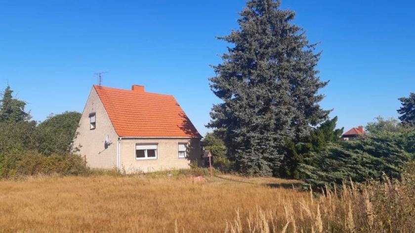 Haus kaufen Brück max 1ufohrpu56ye