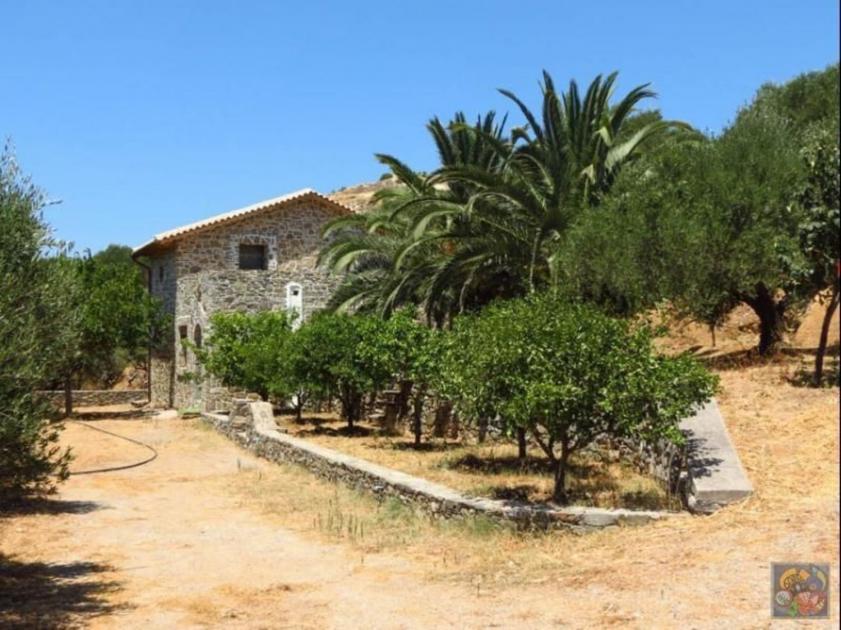 Haus kaufen Kato Episkopi - Sitia max kkd02teqslns