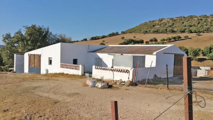 Haus kaufen Vejer de la Frontera max rxr7ap87thed