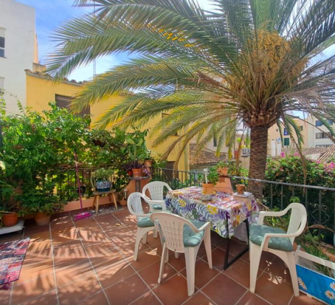 Wohnung kaufen Palma de Mallorca max 6trademjl6z4