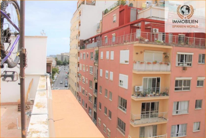 Wohnung kaufen Palma de Mallorca max ajixnc3tqhqv