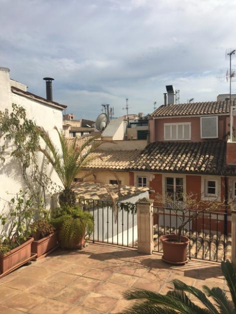 Wohnung kaufen Palma de Mallorca max w162p3nskwae